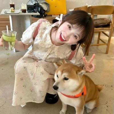 小猪
